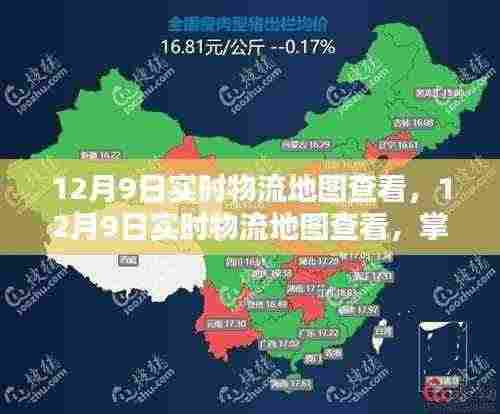 实时物流地图追踪,掌握货物动态,轻松追踪物流信息