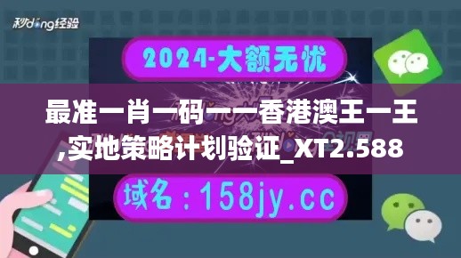 最准一肖一码一一香港澳王一王,实地策略计划验证_XT2.588