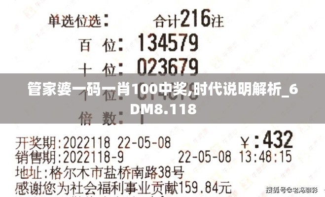 管家婆一码一肖100中奖,时代说明解析_6DM8.118