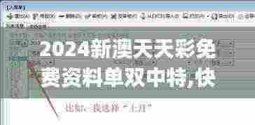 2024新澳天天彩免费资料单双中特,快捷问题策略设计_尊享版1.509