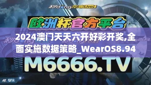 2024澳门天天六开好彩开奖,全面实施数据策略_WearOS8.943