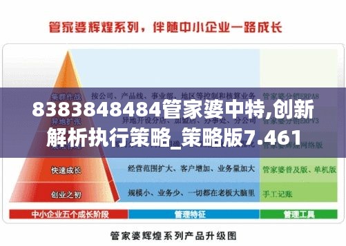 8383848484管家婆中特,创新解析执行策略_策略版7.461