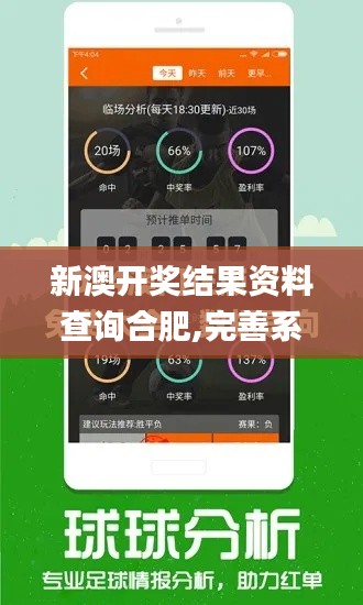 新澳开奖结果资料查询合肥,完善系统评估_经典版2.349