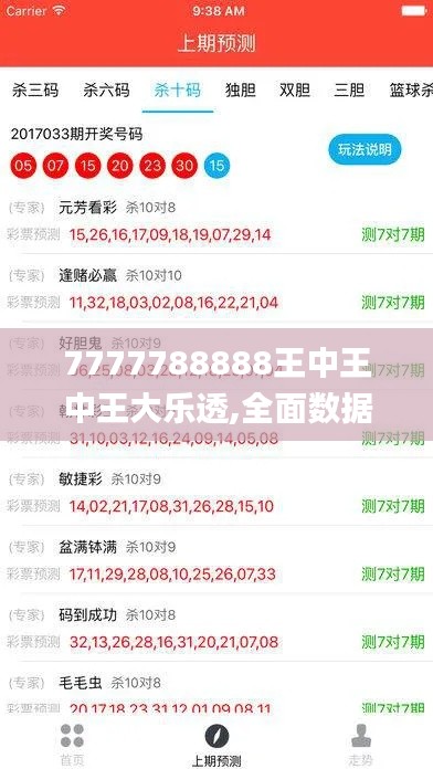 7777788888王中王中王大乐透,全面数据解析说明_复古款8.770