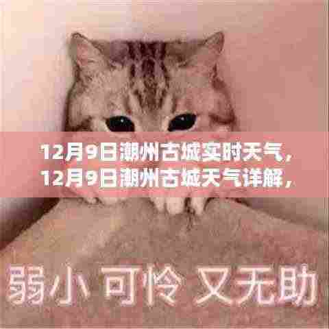 潮州古城天气预报，获取实时天气信息及应对建议的指南（12月9日）