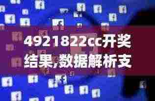 4921822cc开奖结果,数据解析支持设计_WP110.566