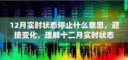 十二月实时状态停止解析,拥抱变化,自信成就之旅的启航