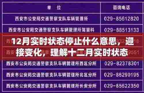 十二月实时状态停止解析,拥抱变化,自信成就之旅的启航