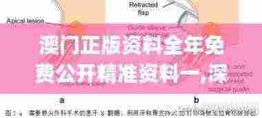 澳门正版资料全年免费公开精准资料一,深度分析解释定义_3D9.657