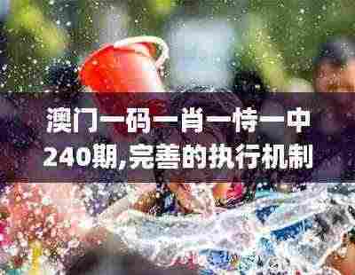 澳门一码一肖一恃一中240期,完善的执行机制分析_动态版10.656