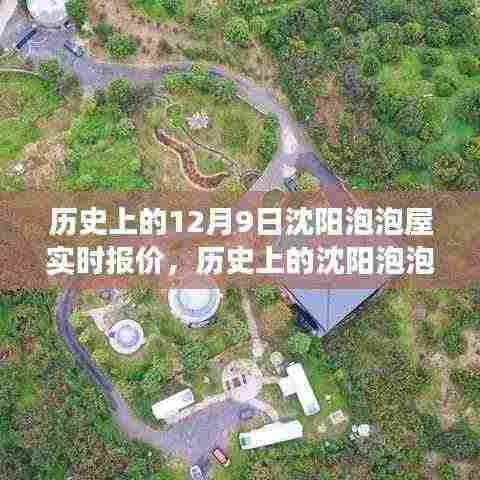 揭秘沈阳泡泡屋的历史报价与背后的故事变迁，聚焦12月9日实时动态
