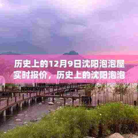 揭秘沈阳泡泡屋的历史报价与背后的故事变迁,聚焦12月9日实时动态
