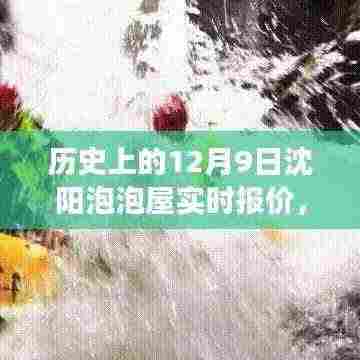 揭秘沈阳泡泡屋的历史报价与背后的故事变迁,聚焦12月9日实时动态
