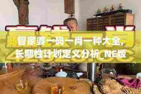 管家婆一码一肖一种大全,长期性计划定义分析_NE版7.602