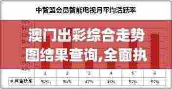 澳门出彩综合走势图结果查询,全面执行计划数据_WP18.763