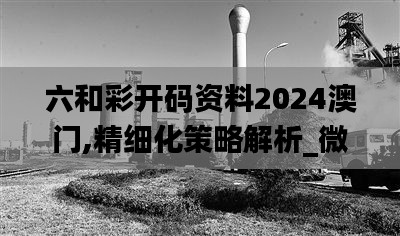 六和彩开码资料2024澳门,精细化策略解析_微型版8.950
