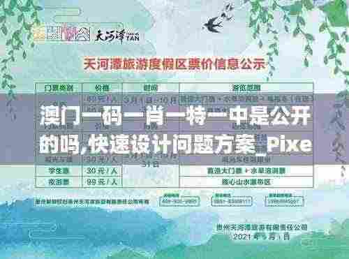 澳门一码一肖一特一中是公开的吗,快速设计问题方案_Pixel18.272