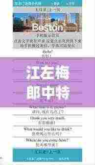 江左梅郎中特资料大全更新时间,精细化评估解析_Console9.932