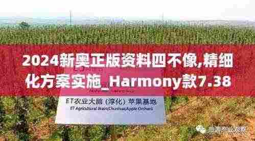 2024新奥正版资料四不像,精细化方案实施_Harmony款7.385