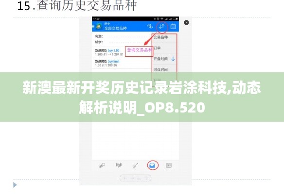 新澳最新开奖历史记录岩涂科技,动态解析说明_OP8.520