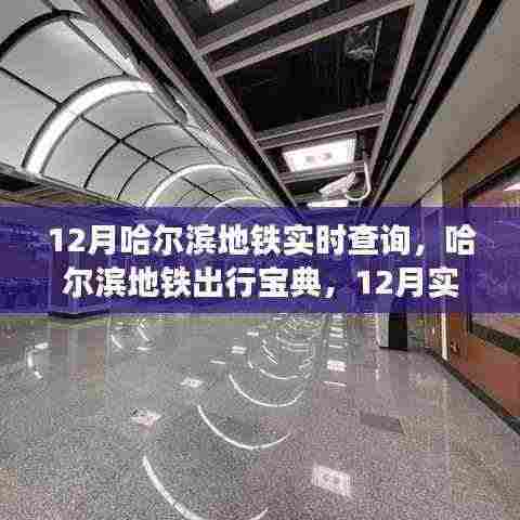 哈尔滨地铁出行宝典,12月实时查询全攻略