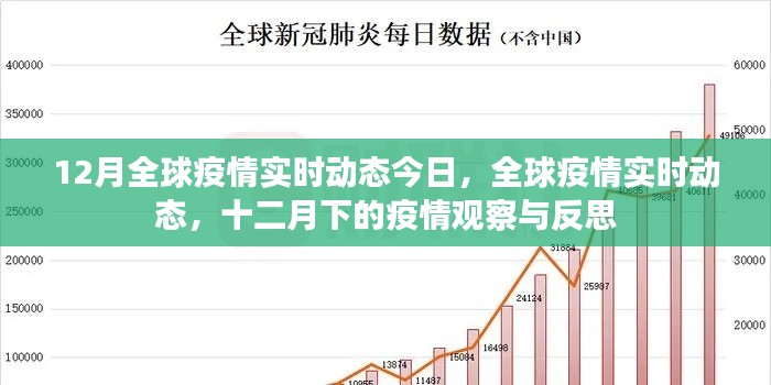 全球疫情实时动态,十二月的观察与反思