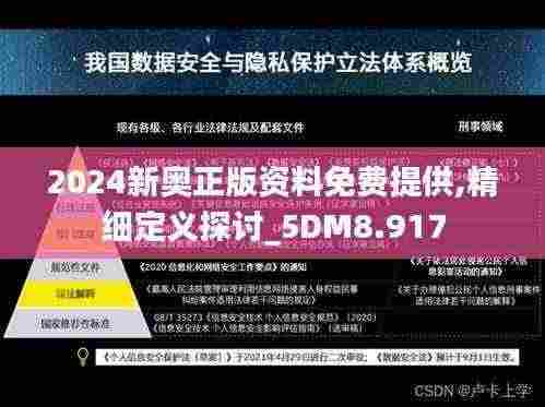 2024新奥正版资料免费提供,精细定义探讨_5DM8.917