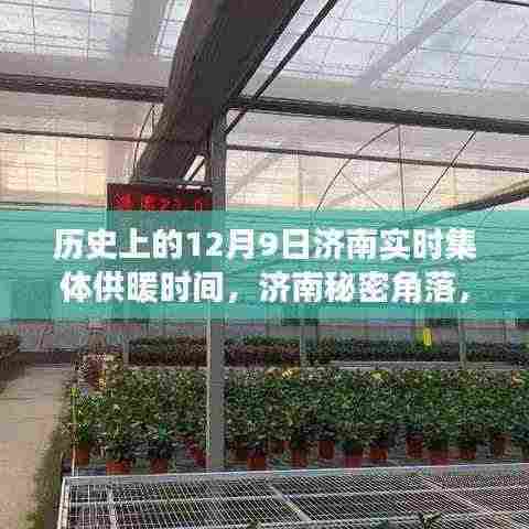 济南秘密角落,历史时刻下的集体供暖与小巷特色小店的奇妙邂逅