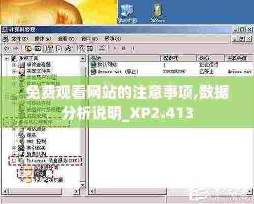 免费观看网站的注意事项,数据分析说明_XP2.413