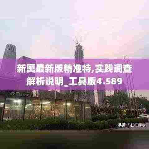 新奥最新版精准特,实践调查解析说明_工具版4.589