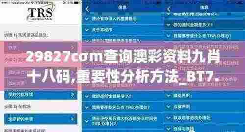 29827cσm查询澳彩资料九肖十八码,重要性分析方法_BT7.185