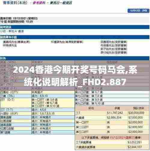 2024香港今期开奖号码马会,系统化说明解析_FHD2.887