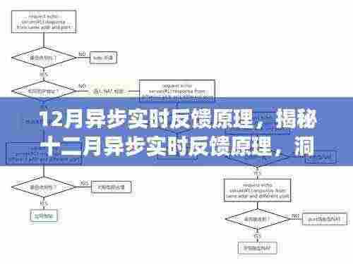 揭秘十二月异步实时反馈原理,洞悉实时交互核心机制之道