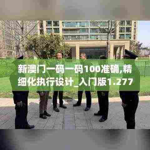 新澳门一码一码100准确,精细化执行设计_入门版1.277