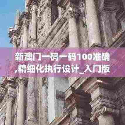 新澳门一码一码100准确,精细化执行设计_入门版1.277