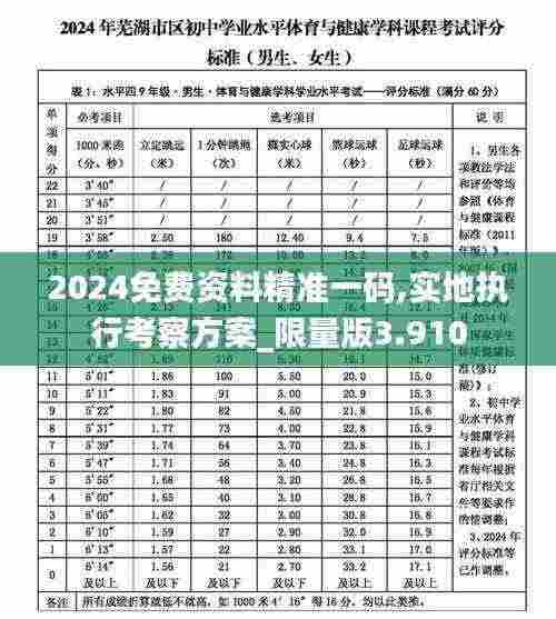 2024免费资料精准一码,实地执行考察方案_限量版3.910