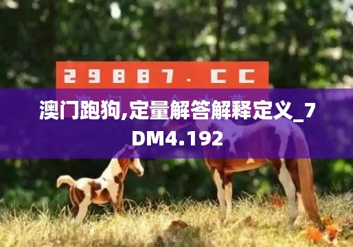 澳门跑狗,定量解答解释定义_7DM4.192