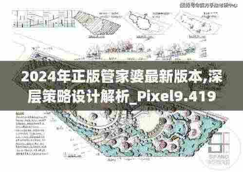 2024年正版管家婆最新版本,深层策略设计解析_Pixel9.419