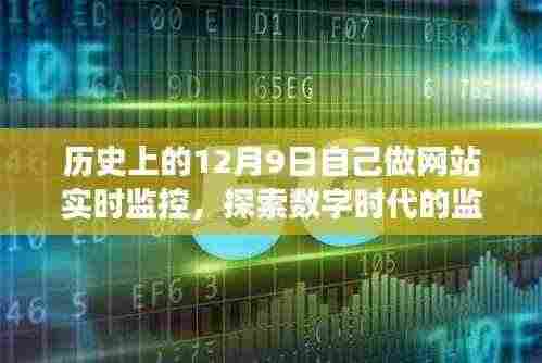 历史视角下的网站实时监控,探索数字时代的监控之路与观点分析