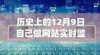 历史视角下的网站实时监控,探索数字时代的监控之路与观点分析