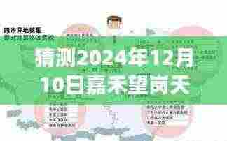 首鼠两端 第4页