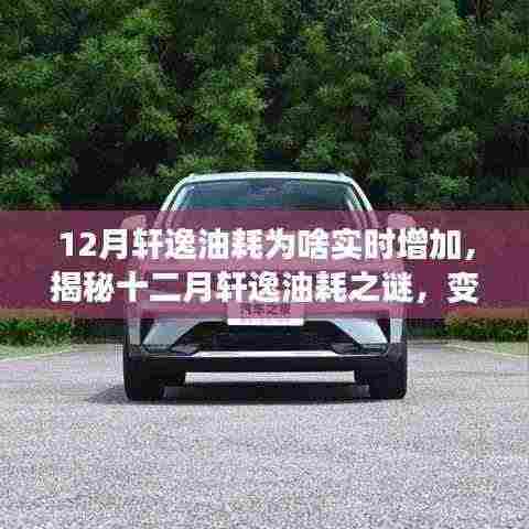 揭秘十二月轩逸油耗增加之谜,变化中的自信与成就感,点燃生活正能量火花!
