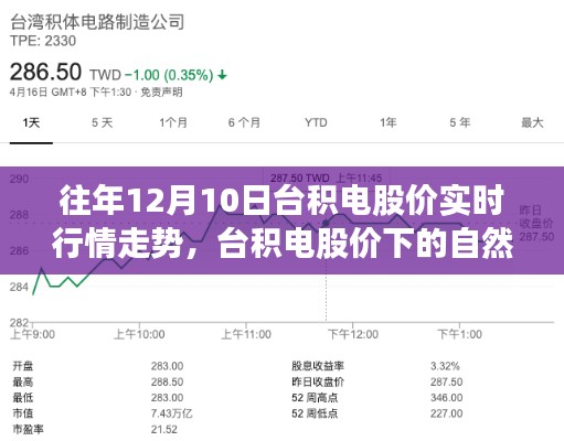 台积电股价动态,探寻心灵净土的股市走势之旅