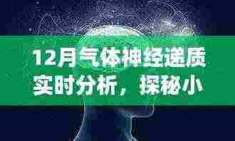 探秘小巷深处的神秘小店，揭秘气体神经递质的实时分析之旅