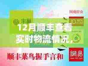 12月顺丰速递实时物流追踪脉络与影响全解析