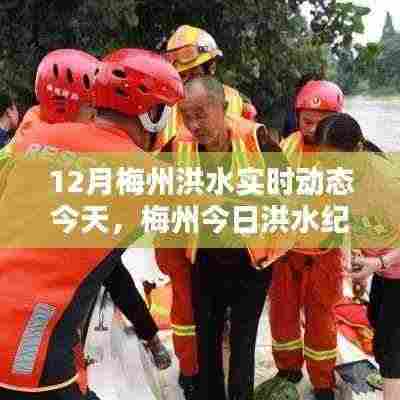 梅州洪水实时更新,逆流不息的力量与时代印记