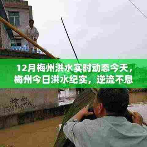梅州洪水实时更新,逆流不息的力量与时代印记