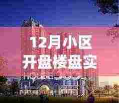 12月小区楼盘开盘背后的温馨故事与实时价格解析
