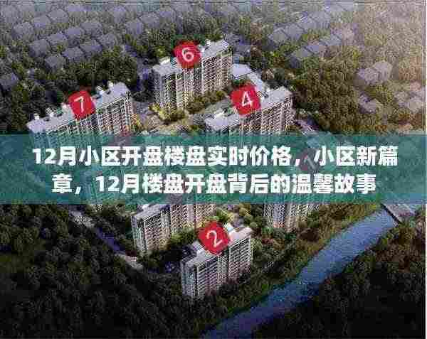 12月小区楼盘开盘背后的温馨故事与实时价格解析