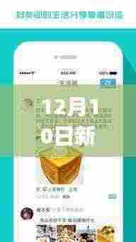 12月10日新奥天天正版资料大全,重要性解释落实方法_苹果版7.493